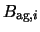 $\displaystyle B_{{\rm ag},i}$