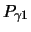 $\displaystyle P_{\gamma 1}$
