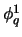 $\phi^1_q$