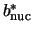 $b_{\rm nuc}^*$