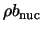 $\rho b_{\rm nuc}$