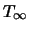 $T_{\infty}$