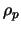 $\rho_p$