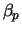 $\beta_p$