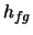 $h_{fg}$