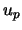 $u_{p}$