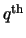 $q^{\rm th}$
