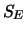 $S_E$