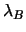 $\lambda_B$