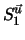 $\displaystyle S^{\vec u}_{1}$