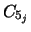$C_{5_j}$