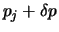 $\displaystyle p_j + \delta p$