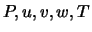$P, u, v, w, T$