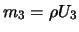 $m_3 = \rho U_3$
